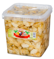 CASEC56 - Artichokes in oil