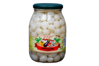 CIPVS1 - Spring onions in vinegar